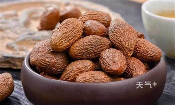 胖大海有降壓利尿、抗菌消炎的功效