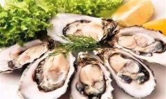 牡蠣的營養(yǎng)成分 為什么牡蠣營養(yǎng)價(jià)值高