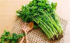 什么是食物的辛酸甘苦咸？各類食物的作用特點