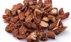 丹參的性能、主治、臨床應(yīng)用及用藥注意事項(xiàng)