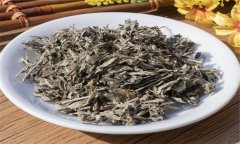 艾葉的性能、主治、臨床應(yīng)用及注意事項(xiàng)