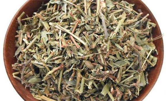 萹蓄的用法、用量與禁忌