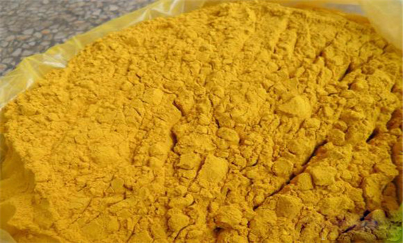 蒲黃的用法、用量與禁忌