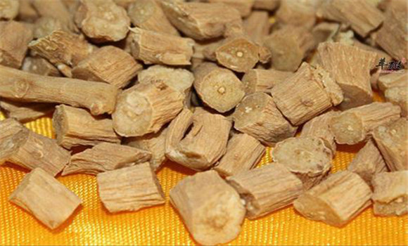 牛膝的用法，用量與禁忌