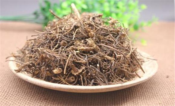 威靈仙的用法、用量與禁忌