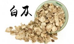 白及的產(chǎn)地是哪里？白及的用法、用量與禁忌