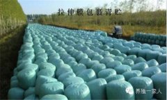 青貯飼料的調(diào)制方法、技術(shù)要點(diǎn)與注意事項(xiàng)