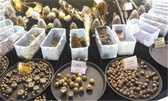 怎樣安全貯存蔬菜種子？蔬菜種子知識