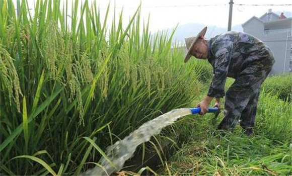 科學管水、防止早衰
