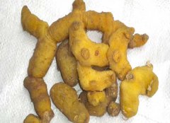 黃精的產(chǎn)地有哪些？