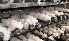 銀耳的蟲(chóng)害主要有哪些，如何防治