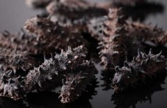 如何選購干海參？干海參的發(fā)泡方法