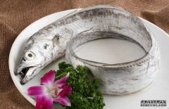 帶魚的產(chǎn)地、分布生活習(xí)性與品種分類