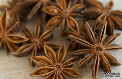 八角的市場(chǎng)價(jià)格，八角的選購(gòu)方法與食用方法