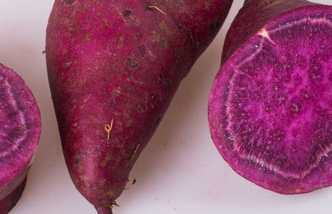 紫薯是轉(zhuǎn)基因食品嗎？