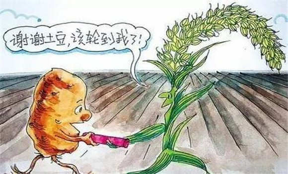 改善栽培制度，合理輪作