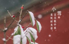 小雪節(jié)氣是什么意思，小雪節(jié)氣吃什么食品？