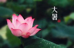 大暑是幾月幾日，大暑的節(jié)日民俗的哪些？