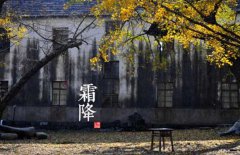 寒露是什么意思，寒露的氣候特征有哪些？