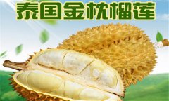 榴蓮品種介紹 常見(jiàn)的榴蓮品種有哪些？