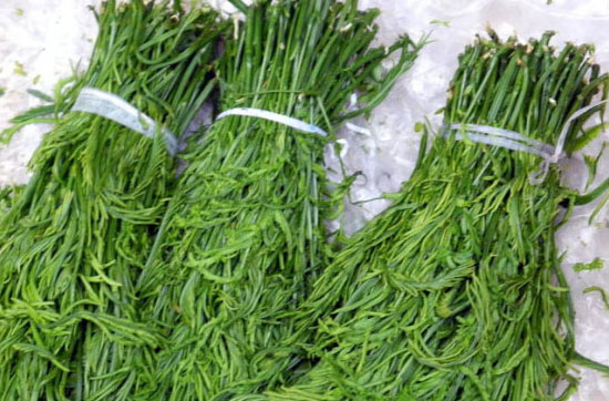 龍須菜的營養(yǎng)價(jià)值