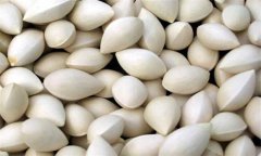 白果的功效與作用及食用方法、禁忌