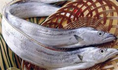 帶魚發(fā)黃能吃嗎？帶魚表面發(fā)黃的原因是什么