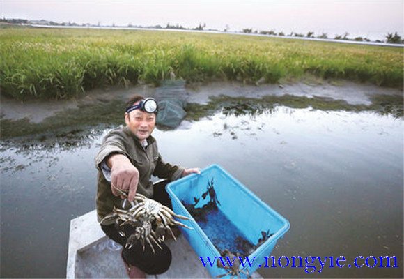 水源充足、水質清新無污染