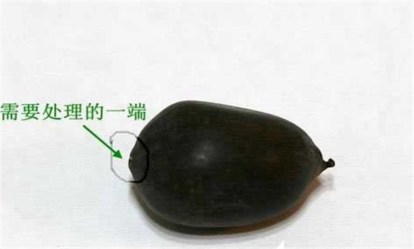 碗蓮的種植方法帶圖，碗蓮的種植方法與技術(shù)詳
