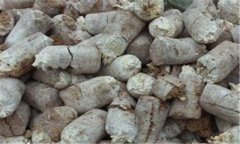 食用菌菌糠的營(yíng)養(yǎng)成分、用途與再利用前景分析