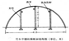 塑料中棚加外覆蓋能明顯使蔬菜早熟，效益高