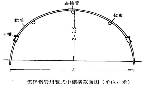 塑料中棚加外覆蓋能明顯使蔬菜早熟，效益高
