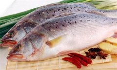 鱸魚是海魚還是淡水魚，海鱸魚和河鱸魚的區(qū)別