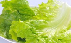 生菜的營養(yǎng)成分，生菜的營養(yǎng)價值及功效有哪些