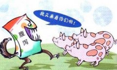 豬流行性腹瀉怎么治療、預防與防治要點有哪些