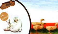 小鵝瘟癥狀有哪些，治療與防治措施簡(jiǎn)介