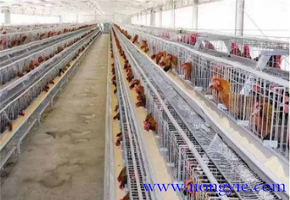 保溫、防暑和通風(fēng)性能好