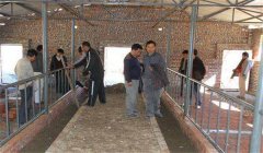 奶牛場設施設備有哪些，是如何分類的？
