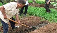 有機(jī)肥料的種類、特點(diǎn)與作用