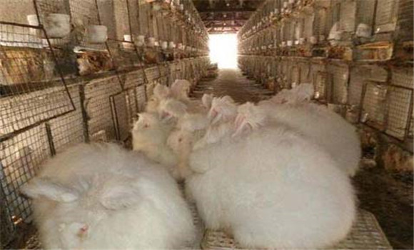 飼料要搭配、交換
