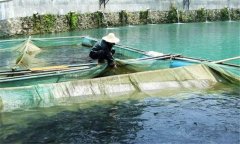 魚赤皮病的治療方法、是什么引起、有什么癥狀