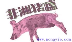 非洲豬瘟什么癥狀 非洲豬瘟的防控措施、要點(diǎn)