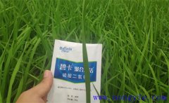 沖施肥哪個(gè)品牌好？沖施肥和水溶肥的區(qū)別