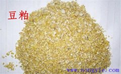 怎樣用豆粕喂牛，豆粕和豆餅喂牛效果一樣嗎？