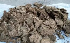 雞糞如何發(fā)酵成有機(jī)肥，用什么發(fā)酵菌好？