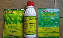 草甘膦除草劑使用范圍，使用多久能生效？