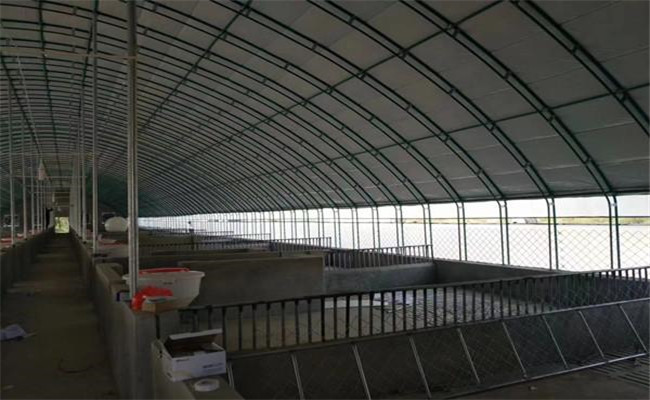 塑膜暖圈的建設方法，塑膜暖圈養(yǎng)豬的優(yōu)點