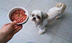 犬飼料中為何要添加鐵、銅等微量元素