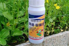 各種農藥安全間隔期分別是多少天