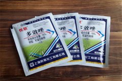 如何正確使用多效唑，用多了發(fā)生藥害怎么辦？